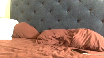 Dogchain  23-08-2021 video body